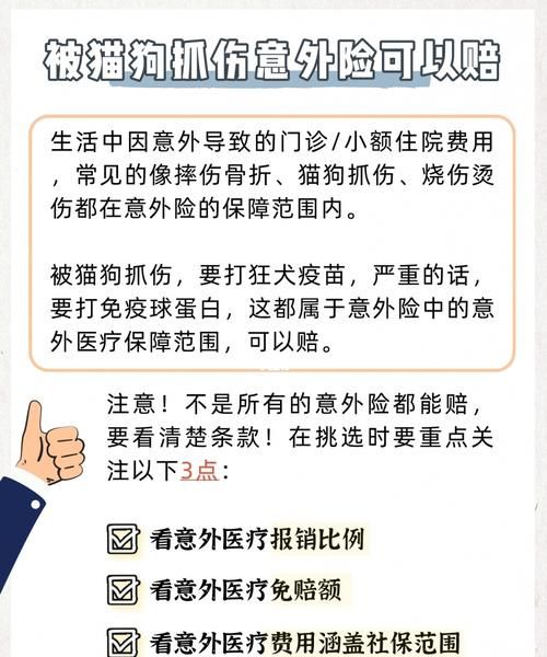 狂犬疫苗意外险能报,意外险可以报销狂犬疫苗图2