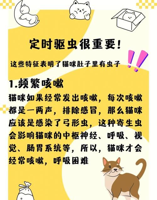 猫咪弓形虫怎么驱虫,怎样给猫咪驱虫