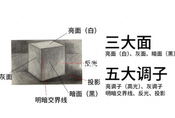 美术三大面五大调子是什么,素描中的三大调是指什么图1