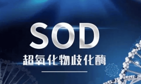 sod是指什么意思,sod是什么