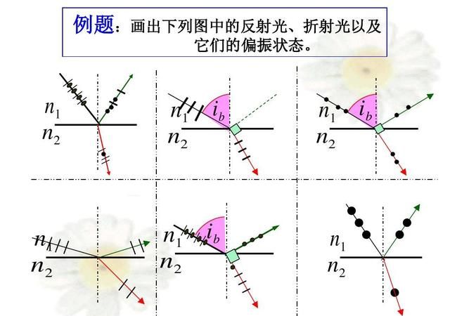 什么是光的偏振,什么是光的偏振现象什么是物质的旋光现象图6