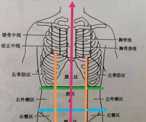 腹部分区九分法如何划分,解剖学九分法上界线