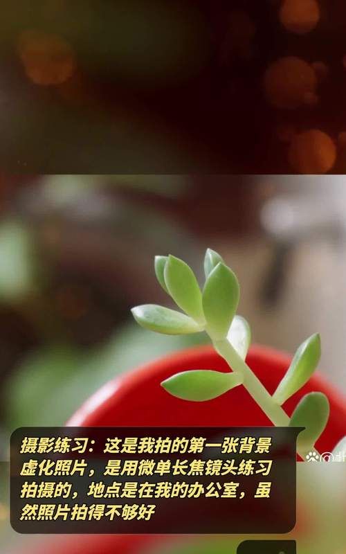 微单怎么拍背景虚化,单反相机如何拍背景虚化图3