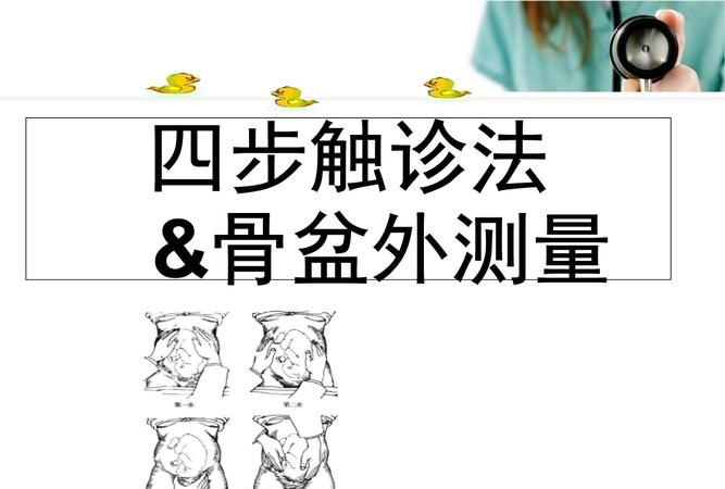 四步触诊法 你学会了,四步触诊的方法及目的图5