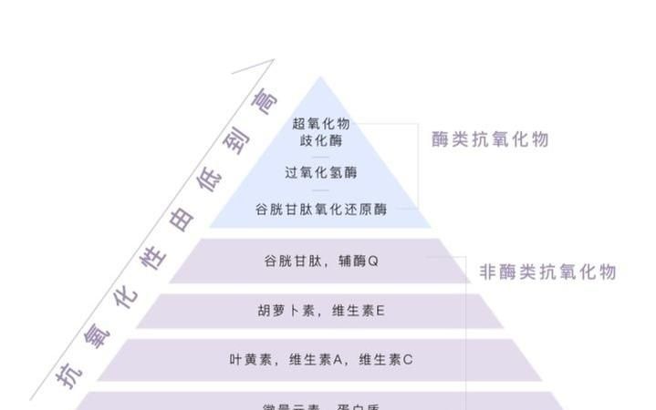 体检sod是指什么,每年一次的体检 都有什么体检项目图3