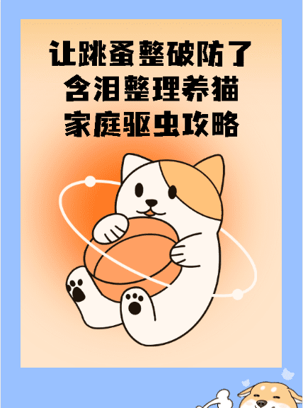 家里养猫怎么驱虫,新手养猫怎么选图1