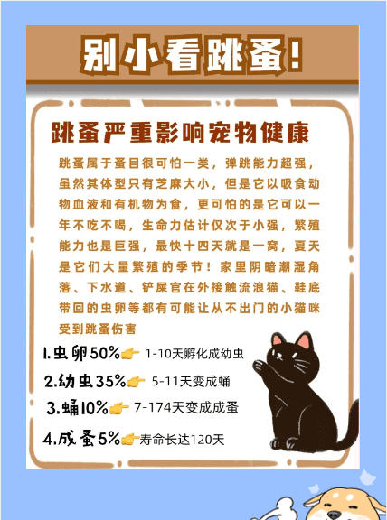 家里养猫怎么驱虫,新手养猫怎么选图2