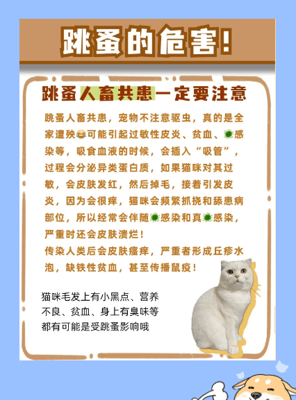 家里养猫怎么驱虫,新手养猫怎么选图3