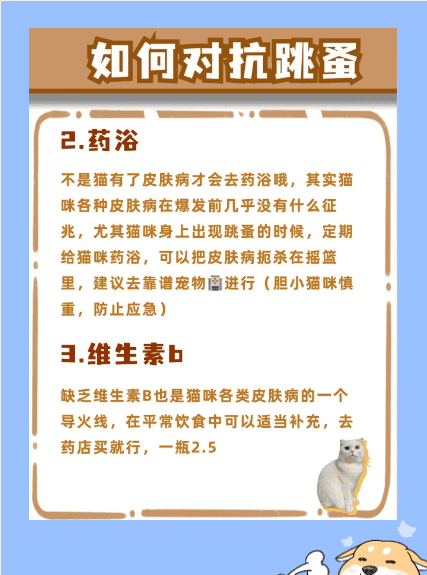 家里养猫怎么驱虫,新手养猫怎么选图7