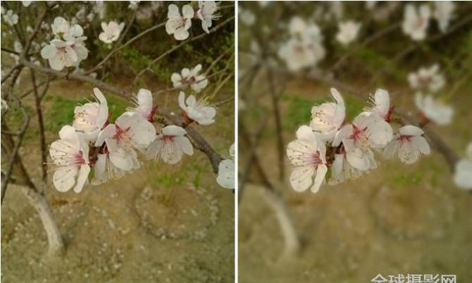 手机照相如何虚化背景,苹果手机照相怎么虚化背景图3