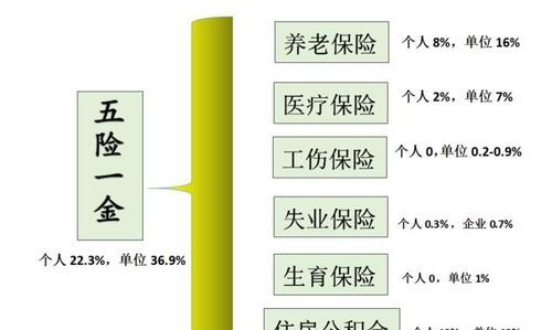 保定五险一金缴纳比例如何计算,保定长城汽车集团五险一金怎么交图4