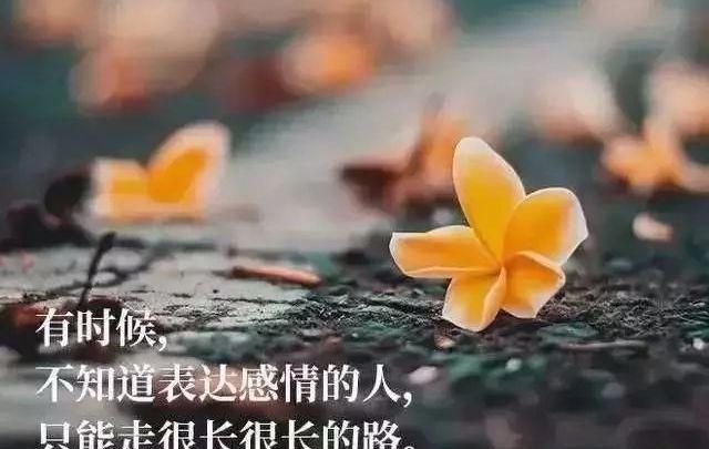 人生追的幸福的经典语录,幸福的经典语录图4