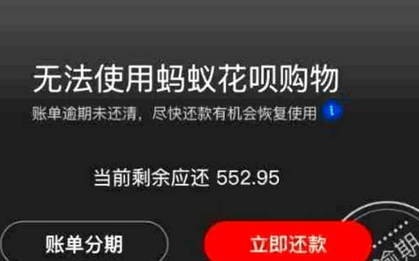 花呗利息005％是多少,花呗日利率0.05是多少利息图2