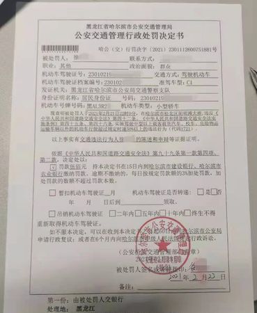 交通处罚决定书丢了该怎么办,醉驾处罚决定书丢了怎么办图4