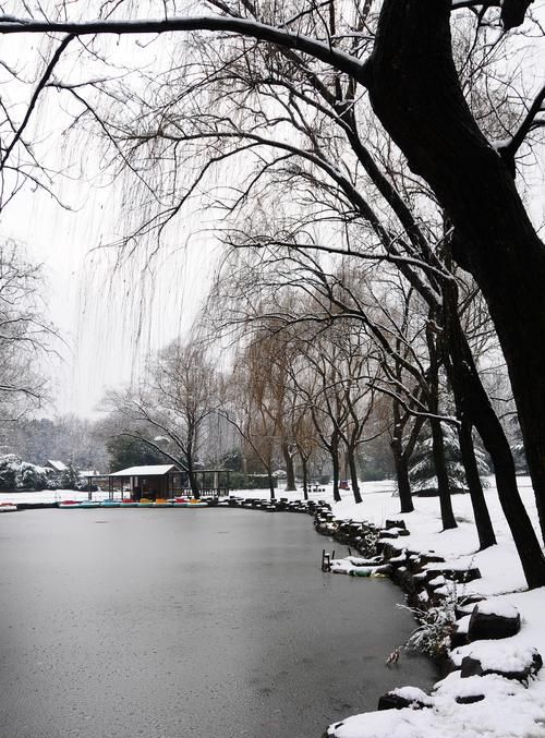 单反如何拍摄雪景,如何用单反拍住漫天飞舞的雪花图2