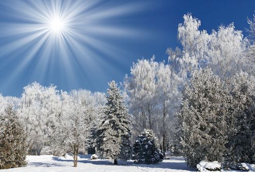 单反如何拍摄雪景,如何用单反拍住漫天飞舞的雪花图3