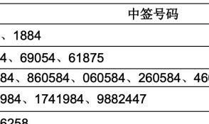 新股票发行中的中签是什么意思,新股中签是什么意思图1