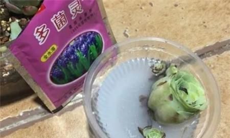 多肉土里可以拌多菌灵,多菌灵直接拌花土里可以图4