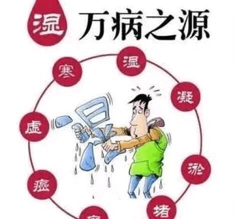 身体湿气过重有什么危害,一个人湿气太重身体有哪些表现图3