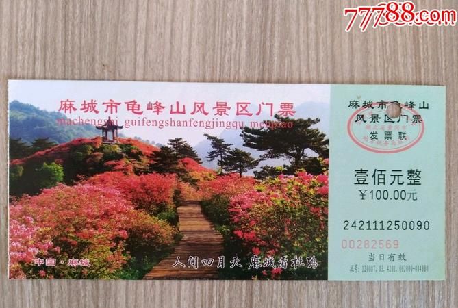 龟山公园要门票,香格里拉龟山公园海拔多少米高图4