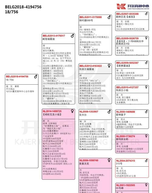 欧单是什么意思,企业客户号的查询方式图4