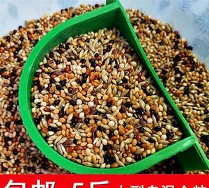 玉鸟换毛喂什么飼料,玉鸟都喂什么饲料图2