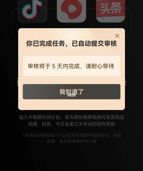 发抖音审核中什么意思,抖音作品审核中怎么回事是火了图4