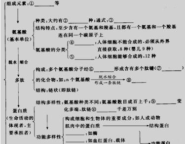 生命特征包括哪些内容,生命具有哪些特征图1