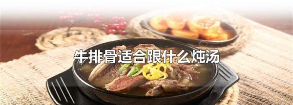 牛排骨和什么煲汤最好,牛排骨汤要放什么食物一起煲汤最好喝图2