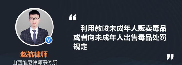 教唆未成年人贩毒要怎么处理,教唆未成年犯罪什么罪名图4