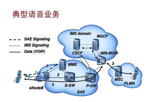 网络用语plmn是什么意思,plmn是什么意思图2