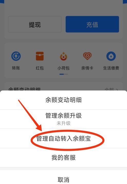 余额宝自动转入怎么取消,支付宝每月自动转入余额宝怎么取消图4
