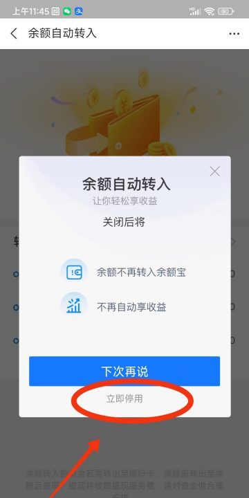 余额宝自动转入怎么取消,支付宝每月自动转入余额宝怎么取消图7