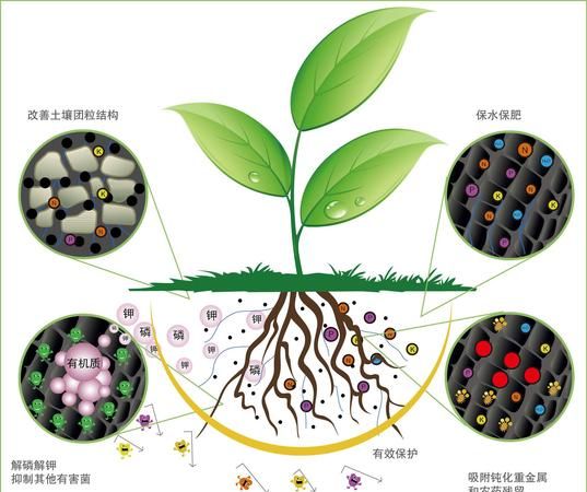 生物基是什么,生物基产品和植物基产品的关系是什么意思图3