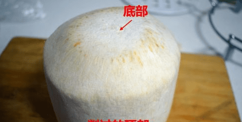 椰青怎么榨椰汁,菲诺厚椰乳怎么吃图5