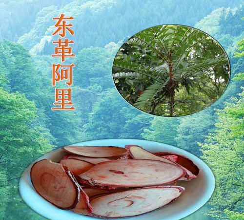 东革阿里什么味道,红东革阿里的功效和作用及用法图3