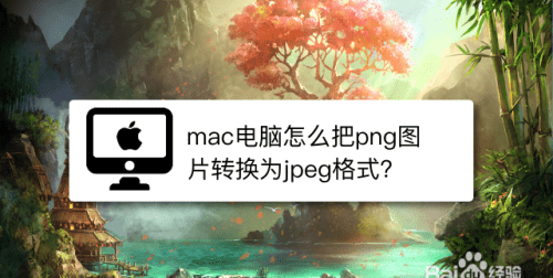 jpeg和png哪一个更清晰,jpeg和jpg区别在哪里图4