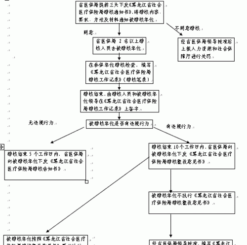 稽核工作是什么意思,稽核是什么意思图4