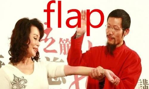 flap什么梗 啥意思,flap是什么意思图1