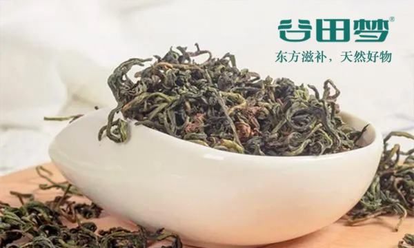 蒲公英功效与作用,鲜蒲公英的功效与作用及食用方法图2