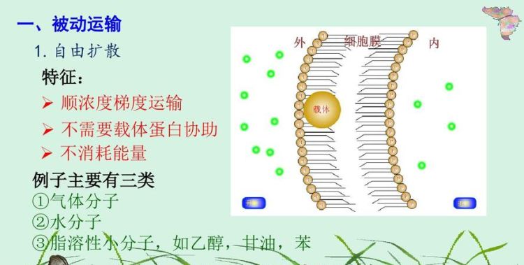 物质运输方式有哪些,常见的物流运输方式有哪些图8