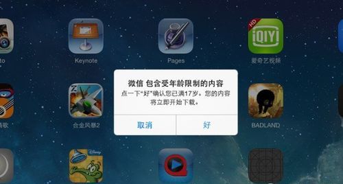 苹果平板ipad 可以单独用微信,ipad怎么用微信支付游戏图3