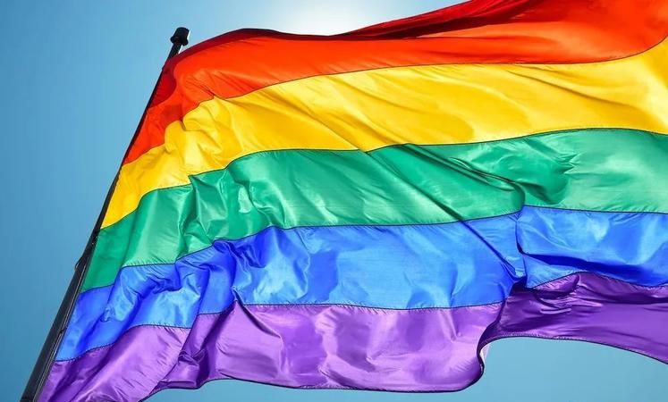 lgbtq群体是什么意思,lgbtq+群体指什么图3