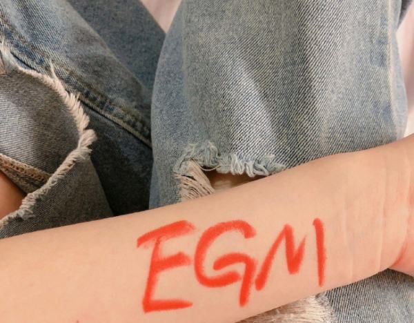 egm和edm是什么意思,egm和edm是什么意思图4