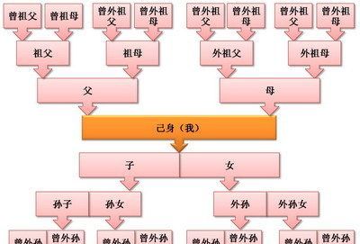 三代以内直系亲属有哪些人,三代以内近亲属指哪些人图示图3