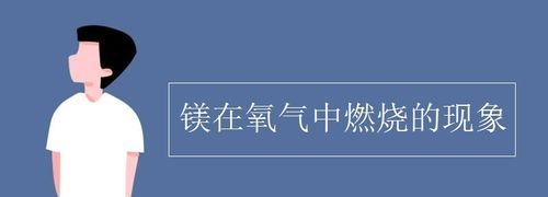 镁燃烧不需要氧气,哪些物质燃烧不需要氧气图1