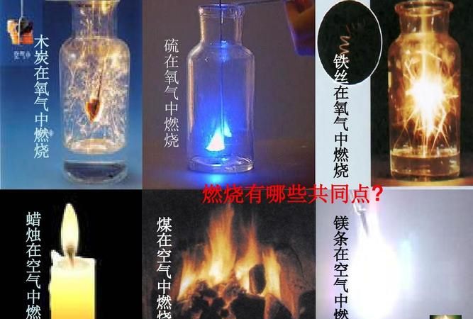 镁燃烧不需要氧气,哪些物质燃烧不需要氧气图2