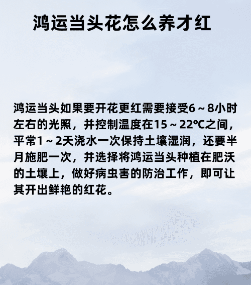 鸿运当头怎么养才红,鸿运当头花怎么养才红施什么肥图17