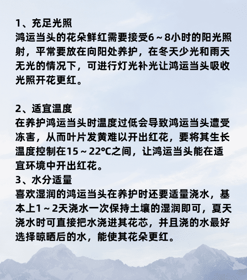 鸿运当头怎么养才红,鸿运当头花怎么养才红施什么肥图18