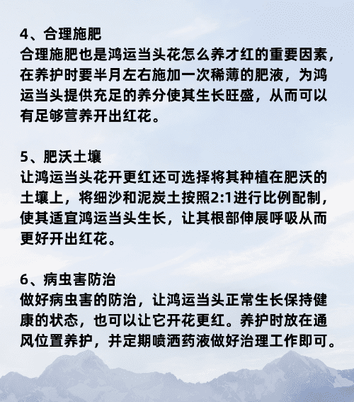 鸿运当头怎么养才红,鸿运当头花怎么养才红施什么肥图19